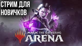 Первые шаги в Magic: The Gathering Arena (MTG Arena)