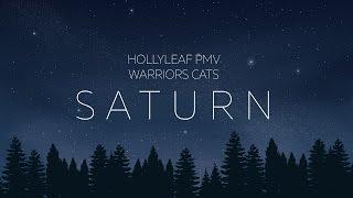 [WARRIORS] Hollyleaf PMV|Saturn