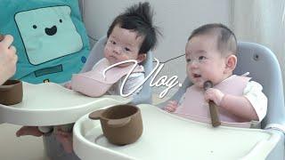[Vlog] 쌍둥이 육아 브이로그 | 우당탕탕 독박육아 쌍둥이 이유식 먹이기 | 이유식 시작 | 첫 이유식 | 5개월아기 | 쌍둥이 독박육아 | 도레패밀리 | 로코유