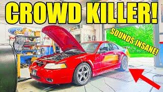 I Finished The Cobra & Built A Crowd Killer! Tuned To Perfection & Just Ridiculous!