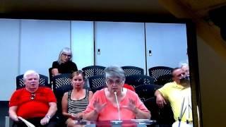 LSL- Arena Task Force Special meeting in full pt 2 July 25,2017 (raw unedited video)