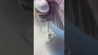 Использование микрожидкостных чипов для обработки эякулята #ксм #экопоомс#эко #microscope #бесплодие