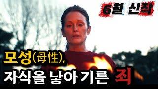 91개국 1위  영화라는걸 망각한 채 2시간을 넋놓고 보게 만드는 추천신작 [결말포함]