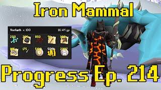 Vorkath is Amazing Money Again | Iron Mammal Progress 214