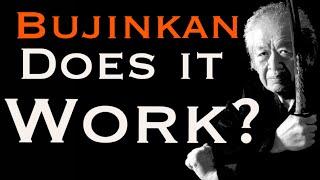 Bujinkan Martial Arts: Do They Work