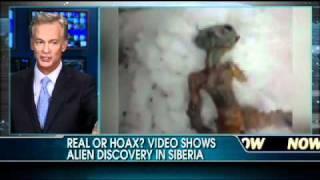 Believe It Or Not: Video Shows Alien Discovered in Siberia?!