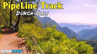 Pipeline Track Nathia Gali  | Dunga Gali Pipeline Track | Ayubia National Park