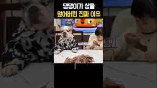 댕댕이가 상을 엎어버린 진짜 이유 #재미있는개 #강아지