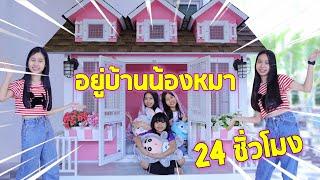 อยู่บ้านน้องหมา 24 ชั่วโมง‼️  | น้องวีว่า พี่วาวาว