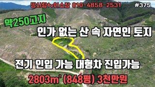 (375번)((2600만원))울진 산속 자연인 토지 바닷가 20분 전기 인입 가능 큰차 진입 가능