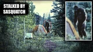 Camping In SASQUATCH TERRITORY | "They Paid Me $50,000 To Do This" | #bigfoot 2024