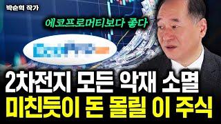 2차전지 모든 악재 소멸, 미친듯이 돈몰릴 '이 주식'｜박순혁 작가 3부