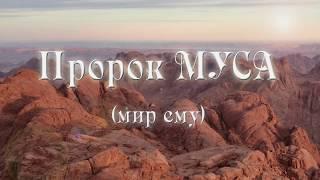 Пророк Муса | Истории пророков | Ренат Абянов