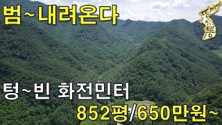 화전민이 살던 산간 오지 국유림 아래 계곡물 흐르는 자연인~땅 852평 650만원~[땅지통]