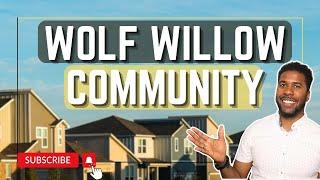 WOLF WILLOW NEIGHBOURHOOD TOUR | Calgary's Most Overlooked Community?!