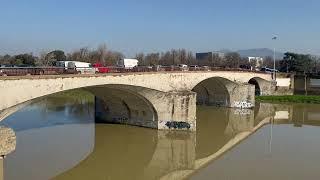 Running with Clay — Arno River, Firenze