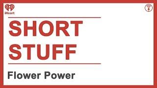 Short Stuff: Flower Power | STUFF YOU SHOULD KNOW