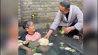 温泉还能这么泡？#年轻人小邹 #泡温泉 #可爱的姥爷