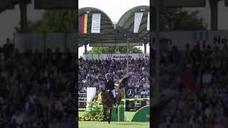 Жалко конечно @evli_livA @Kirochkakon @Glowing.equine @Horse_Schleich-love #equestrian