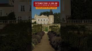 БУТЫЛКА ВИНА ЗА 230000 ДОЛЛАРОВ Путешествие 12000 км #travellinger 3/62 #bordeaux #lafite #rothshild