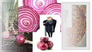 GRUtalk presentation All About Onions