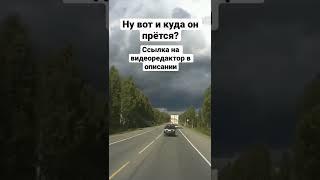 ДТП олень на дороге