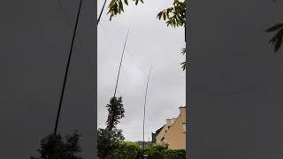 Mât Spiderbeam - Antenne radioamateur - Partie 003 - Comparaison 26 m. vs 18 mètres - Vent 80 km/h