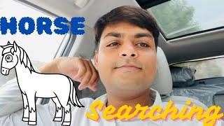 Searching  horse  for my friend ll Hansi majak with boys! Ak vlogs