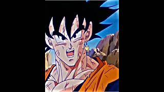 Vegetto edit