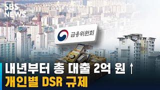 내년부터 총 대출 2억 원 넘으면 개인별 DSR 규제 / SBS