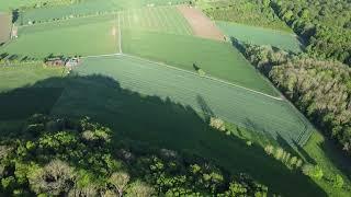 DJI 0138