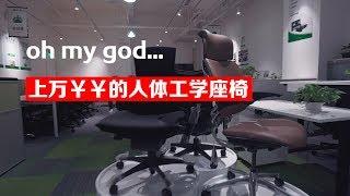 【BIGDONGDONG】#119 上万￥￥的人体工学座椅到底有什么不同？！丨Herman Miller Humanscale 简单体验