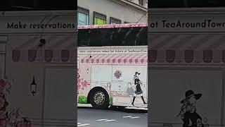 Tea Around Town Buses | 10/14/2024