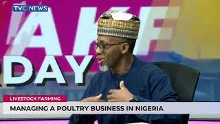 Livestock Farming: How To Manage A Poultry Business In Nigeria