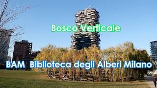 BAM Biblioteca degli Alberi Milano walk december