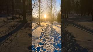 Русский север. Архангельская область #путешествия #travel #north #russia #snow #winter
