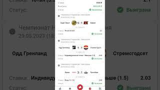 Спорт / Футбол Хоккей Баскетбол