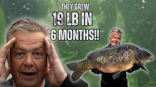 Growing huge carp in a heated tank!