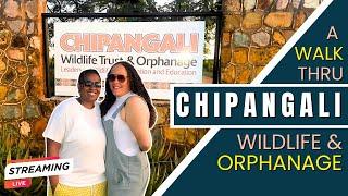 CHIPANGALI: A WILDLIFE ORPHANAGE IN BULAWAYO ZIMBABWE