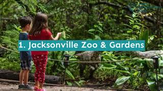 15 Fun Things to Do in Jacksonville with Kids