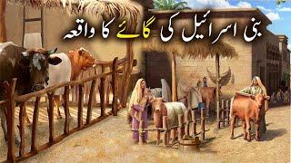 Bani Israil Ki Gaey Ka Waqiya | Islamic Stories | Islamic LifeCycle