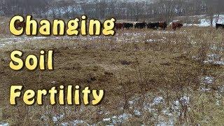 Creating Better Soil Fertility With Bale Grazing