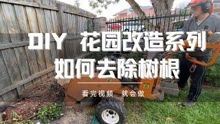 DIY 如何用机器磨树根，怎样处理树根？花园改造。