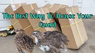 Best Quail Cage | Wynola Ranch 6 Tier Cage