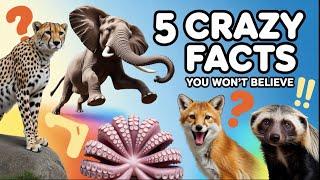 5 Crazy Animal Facts You Won’t Believe! | Cheetah, Octopus, Fox & More