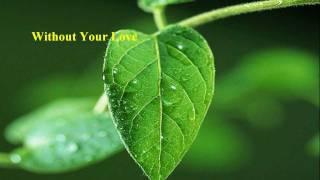 Roger Daltrey - Without Your Love [w/ lyrics]