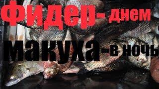 Астраханская область Селитренное !  Ловим с берега