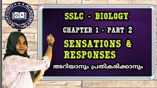 Sensation and responses. SSLC. Biology. Chapter 1. Part 2