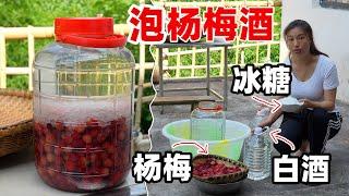 花两百块钱买二十斤白酒，把摘来的杨梅泡成杨梅酒，给爸爸开心坏了，又可以喝几个月了