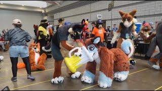 Fursuiting 101 with Gale Frostbane | Anthrocon 2024